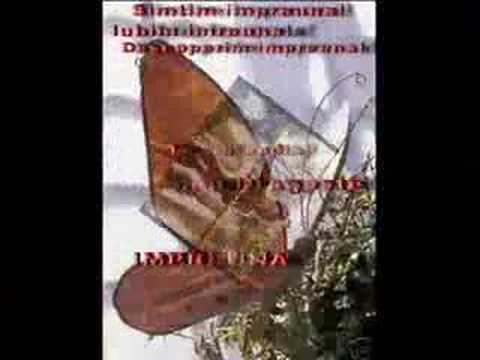 Kandia - Excelent ANDREI POPA