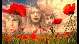 Pink Floyd ❀ The Post War Dream ☆HD☆