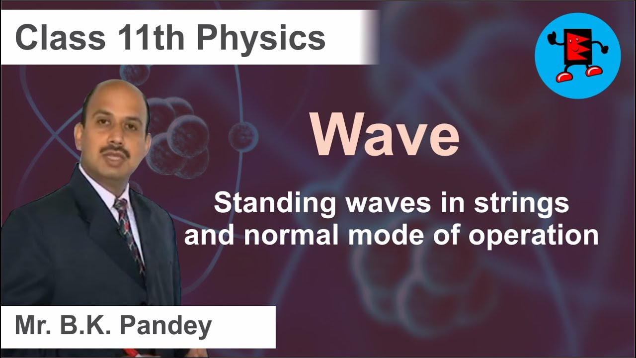 CBSE Class 11 Physics Waves Standing waves in strings and normal mode of operation |Extraminds