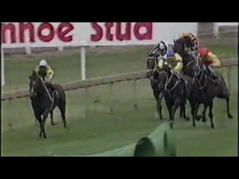 1989 Segenhoe Stakes - Beau Zam