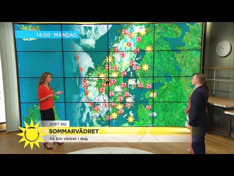 Sommarvädret – "Det varma ostadiga vädret håller i sig" - Nyhetsmorgon (TV4)