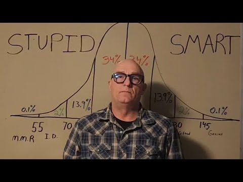 Smart or Stupid
