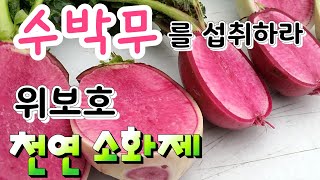 황산화 성분이 풍부한 수박무를 섭취하라,수박무가 위 건강에 최고의 무로 선정,Eat watermelon, w…