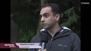 Miniatura do vídeo