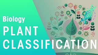 Plant Classification | Evolution | Biology | FuseSchool