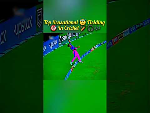 Top Sensational 😇 Fielding 🎯 In Cricket 🏏🎧🎶#sensational #fielding #cricketlover #foryoupage #viral