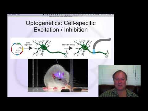 GenPsych Course 2020, Science 7: Experimental Design