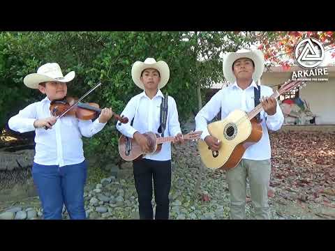 SONES DE COSTUMBRE | TRIO LOS 3 REALES | DE LAGUNA DE VINAZCO ALAMO VER. | ARKAIRE 2023