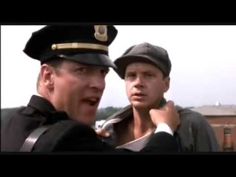 Le ali della libertà: al lavoro sul tetto. 💛💙💛 37° 1000