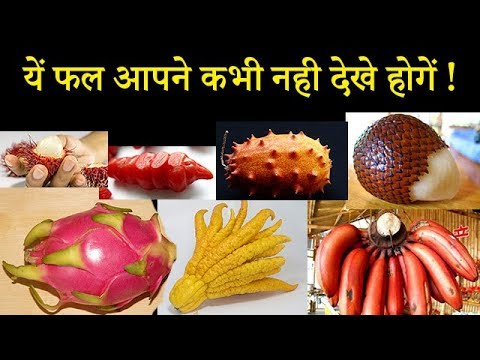 यें फल आपने कभी नही देखे होगें ! Amazing Fruits | Unseen Fruits | Clash on gaming Master Channel