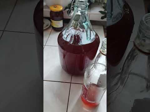 Wino miodowe-Miód pitny(wg J.Cieślaka "Domowy wyrób win")