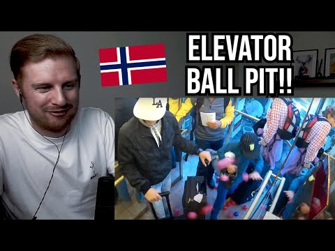 Reaction To Ylvis - The Intelevator (Episode 3)