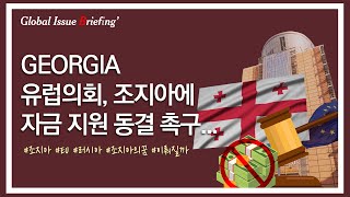 Vol.183 유럽의회, 조지아에 대한 자금💰 지원 동결 촉구🔒
