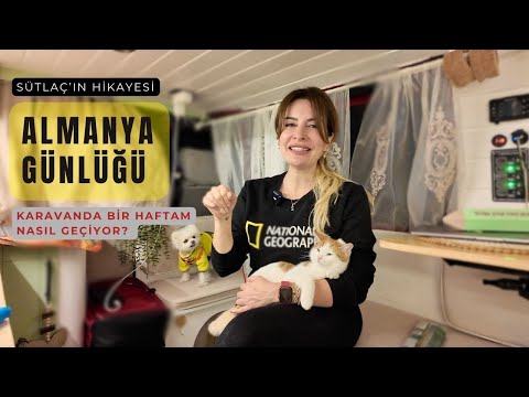 A Week Living in a Camper Van in Germany | House Hunting & Sütlaç’s Story 🐾