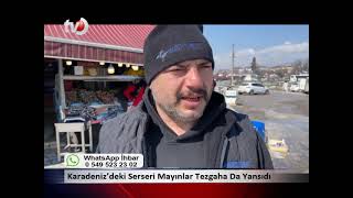 Karadeniz’deki Serseri Mayınlar Tezgaha Da Yansıdı