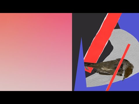 Audiofestivalio „Banguoja“ mentorystės programa | Plunksnos