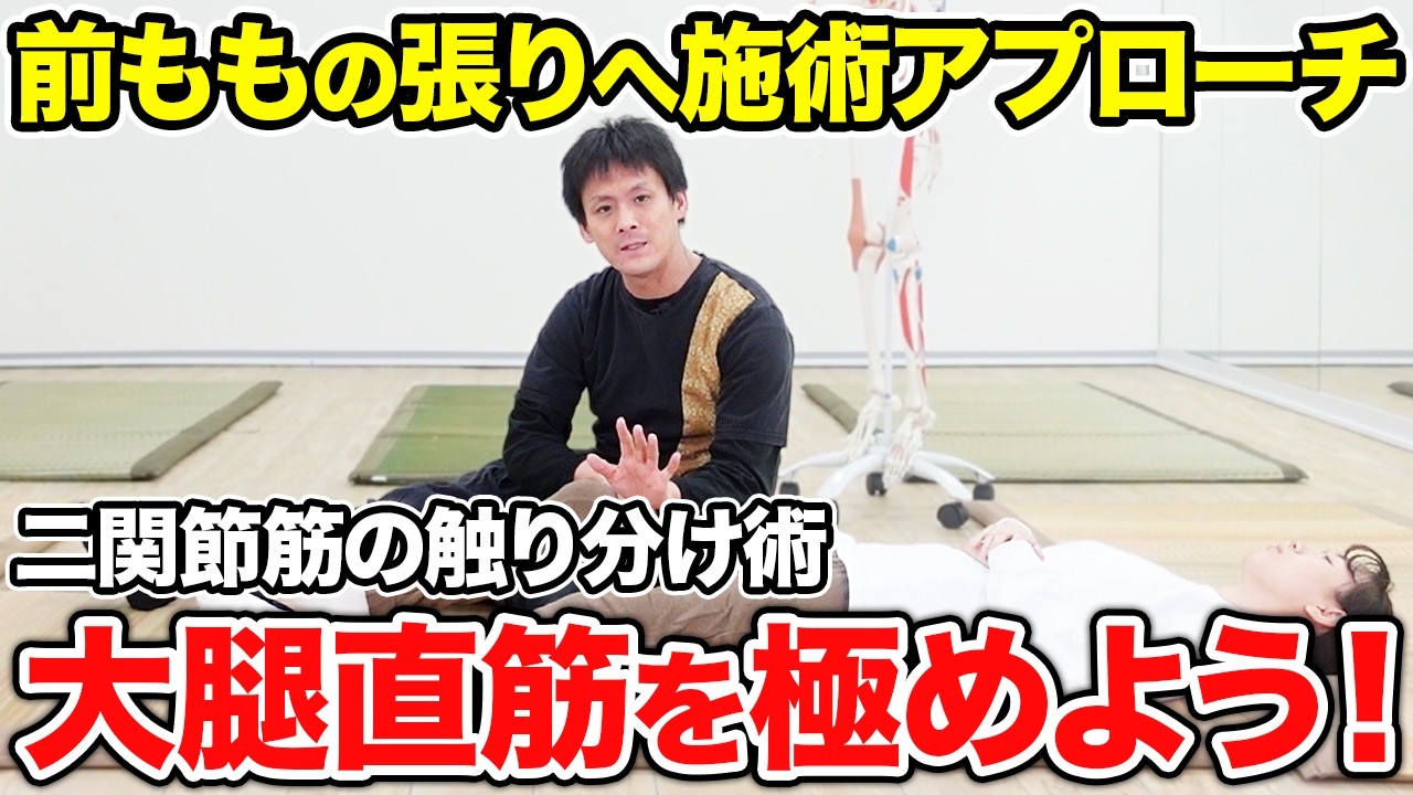 【大腿直筋】前ももの張りの原因と触り分け・ストレッチ方法を解説