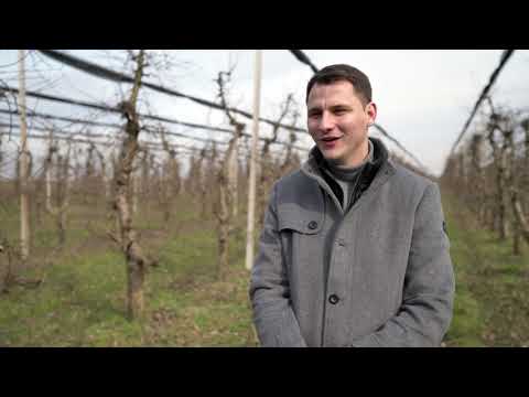 Naša priča ep. 289 04.03.2021. Plantaža jabuka, Kać, porodica Lakić