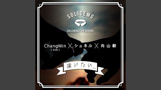 逢いたい... feat.ChangMin (2AM)