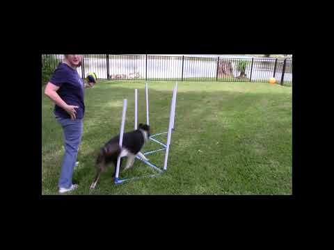 Demo