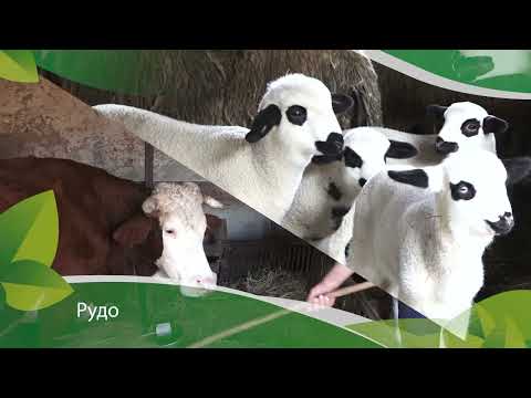 Agro karavan 28.12.2025. NAJAVA