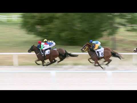 2021.06.27. 05. futam - NYERETLENEK VERSENYE (V.kat.) II. rész (szintetikus pálya)