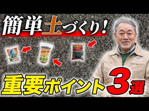 ピーマンを好む: これが強い植物を作る方法です 植物