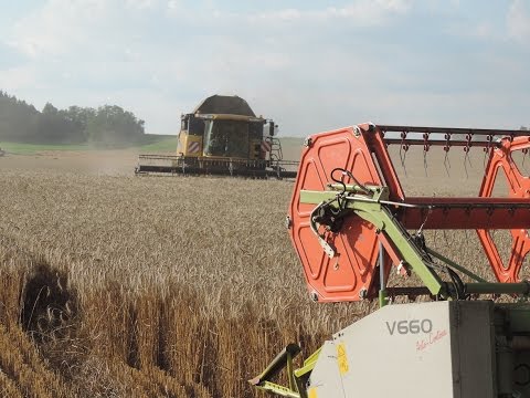 PD Dobrá Niva - Žatva pšenice - 3x Claas Lexion, 3x New Holland, Case IH, JCB Fastrac, 4x Tatra T815