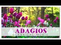 Adagios Classical Music | Albinoni Vivaldi Donizzetti - Relaxing Soothing Meditation Music