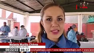 Campaña de esterilización a mascotas