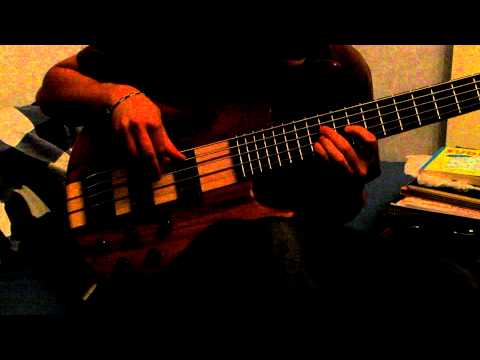 Dapp Theory - Tracing the Page (bass cover)