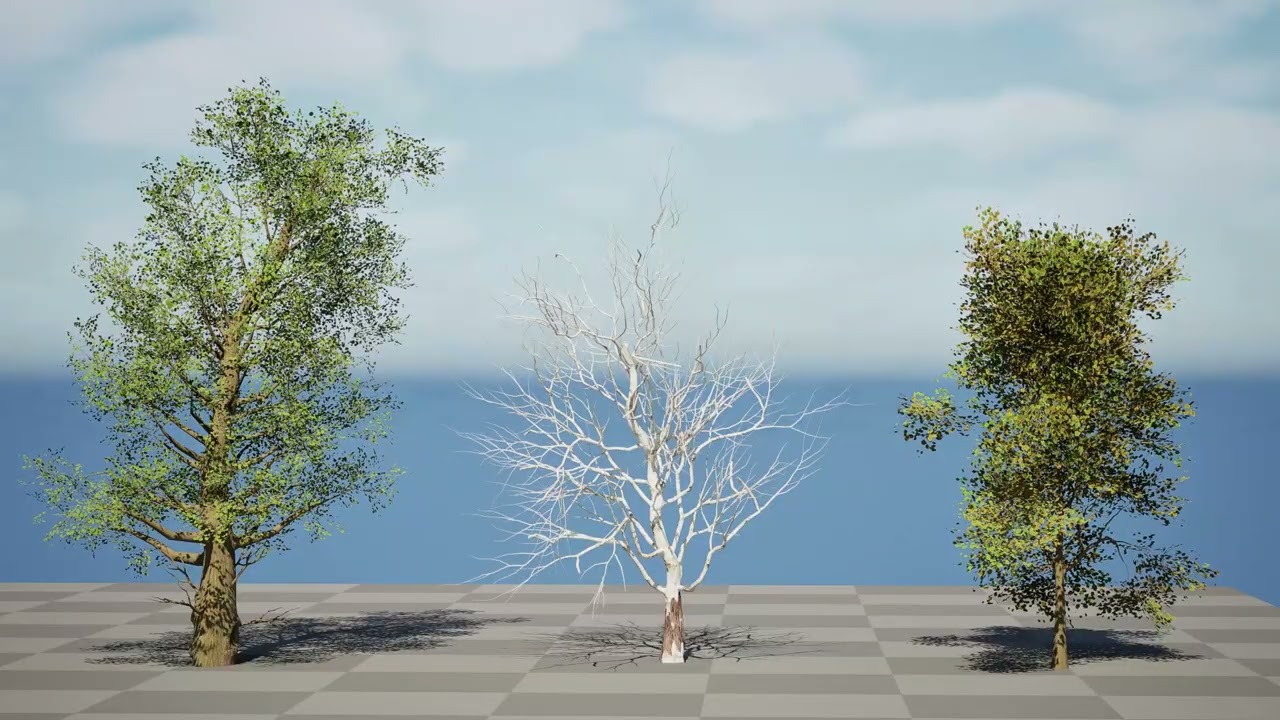 North American Sycamore Tree 3D Model