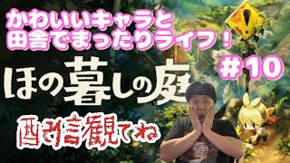 【田村保乃暮らしの庭】彼々津村とか言う田舎でまったりスローライフ！【ほの暮らしの庭】１０