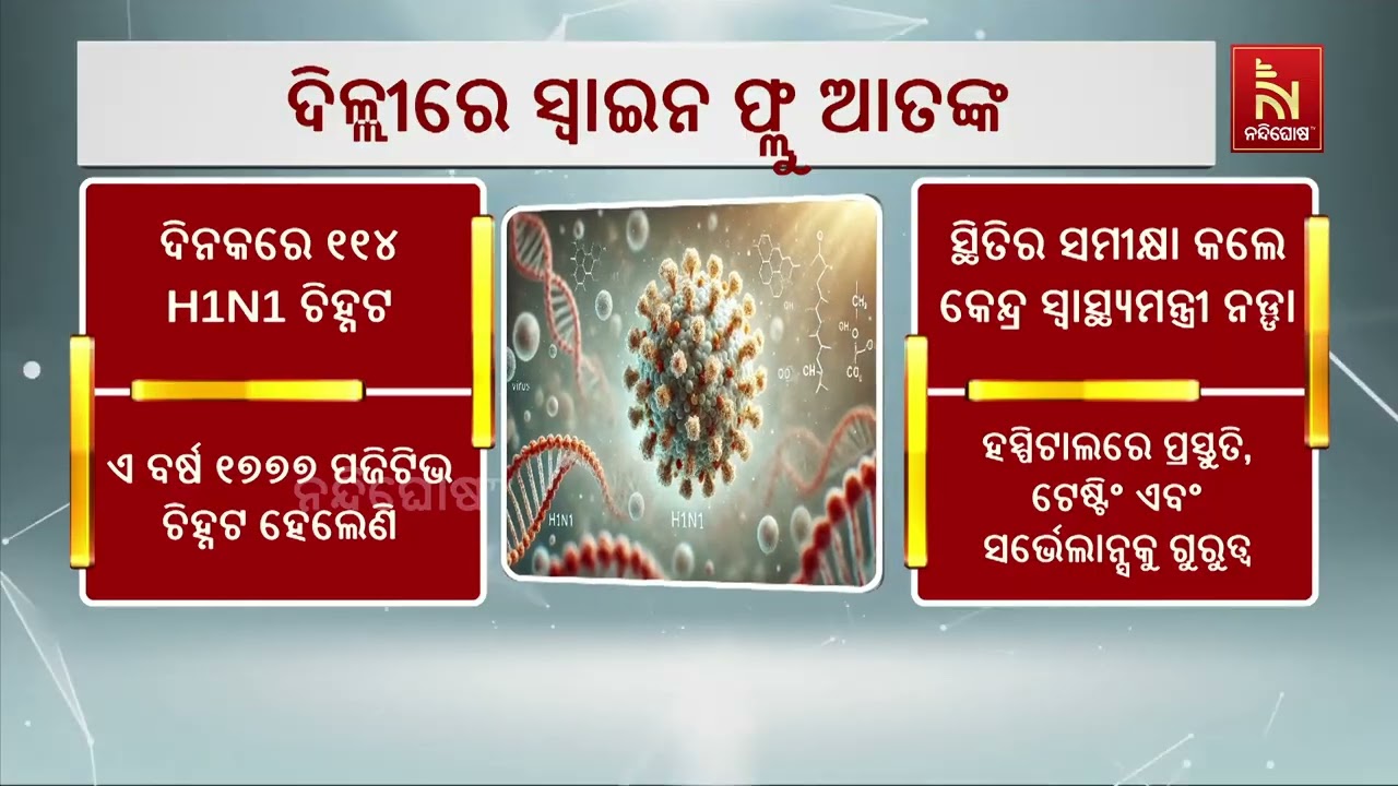ଦିଲ୍ଲୀରେ ସ୍ୱାଇନ୍ ଫ୍ଲୁ ଆତଙ୍କ: ଗୋଟିଏ ଦିନରେ ୧୧୪ ନୂଆ ମାମ?