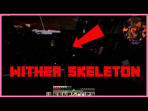 NETHER! - S05E19 MC LP