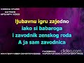 Babaroga Ceca MATRICA LIVE Best
