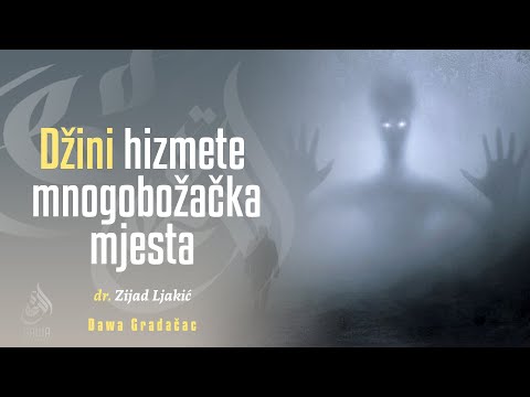 DŽINI HIZMETE MNOGOBOŽAČKA MJESTA - dr. Zijad Ljakić