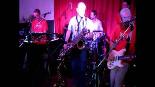 The French Connection - Queen Bee