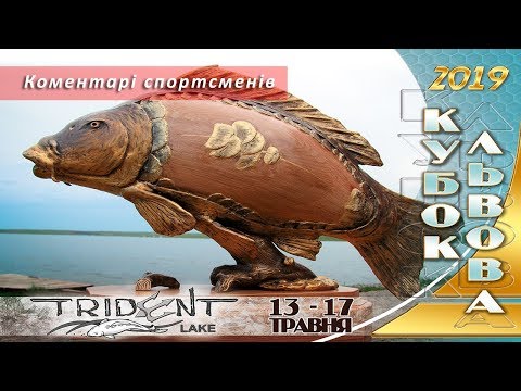 Кубок Львова 2019 + Тренувальний етап до ЧУ 2019. Екватор (середина третьої доби)