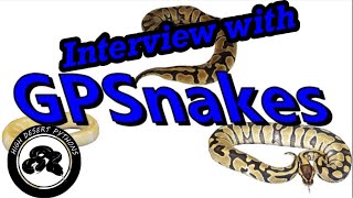 Interview with Gershon Porter of GP Snakes