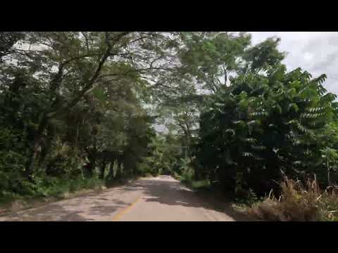 Ruta Tucurú a Santa Catalina La Tinta Alta Verapaz