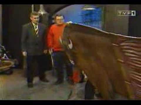 .: Za chwilę dalszy ciąg programu - OLIMPIADA cz.2 :.