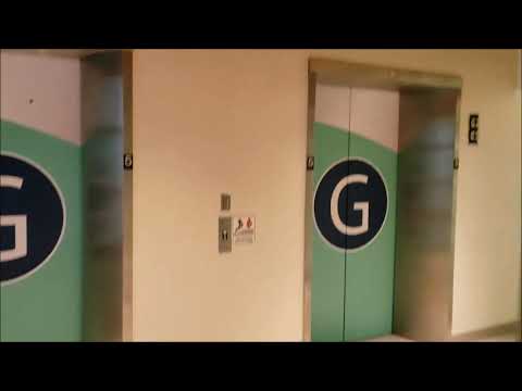 Dover Impulse Traction "G" Elevators - Critical Care Tower - SMH - Sarasota, FL