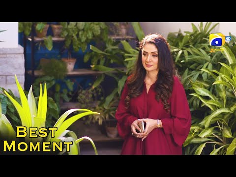 Nikah Episode 91 | 𝐁𝐞𝐬𝐭 𝗠𝗼𝗺𝗲𝗻𝘁 𝟎𝟗 | Haroon Shahid | Zainab Shabbir | HAR PAL GEO