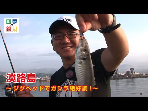 淡路島の沖波止で楽釣!　ジグヘッドでガシラ絶好調!_四季の釣り/2020年6月12日放送分