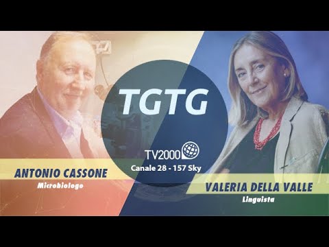 TGTG 8 novembre 2021 - "Covid, la quarta ondata fa paura"