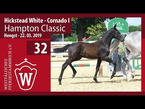 32 Hampton Classic Hengst v. Hickstead White - Cornado I