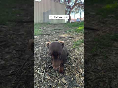 Do you like his new sweater? 🍍🍍🍍Outfit link in the description, plus a cheeky discount code 😉