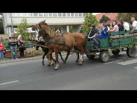 Fogatok és lovasok szüreti felvonulása-  Tápiófeszt -Nagykáta