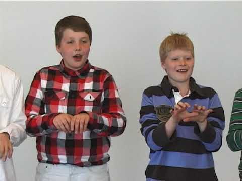 Lubbi finnur málbein - k